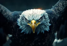 4K American eagle wallpaper showing the eagle in ultra crisp detail with glowing light flaring through wings.