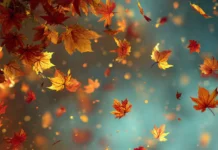 4K fall leaves iphone wallpaper illustrating high resolution tapestry of autumn leaves drifting in gentle breeze.