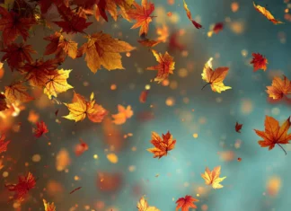 4K fall leaves iphone wallpaper illustrating high resolution tapestry of autumn leaves drifting in gentle breeze.