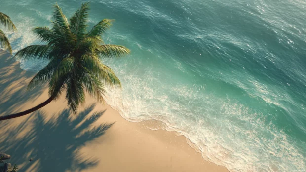 4K horizon view featuring a palm tree casting long shadows over warm beach sand.