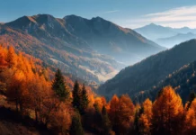4k autumn trees wallpaper panoramic vista of mountain ridge lined by fiery autumn trees under crystal blue sky.