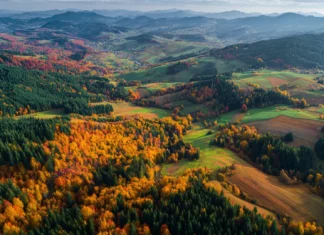 4k fall colors wallpaper presenting aerial view of patchwork farmland edged by multi colored forest in peak season.