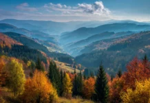 4k fall forest wallpaper portraying panoramic vista of rolling hills cloaked in autumn color under crisp blue sky.