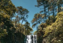 4k waterfall iPhone wallpaper capturing tall curtain of water spilling into emerald lagoon under clear sky.