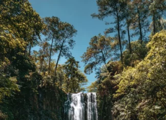 4k waterfall iPhone wallpaper capturing tall curtain of water spilling into emerald lagoon under clear sky.