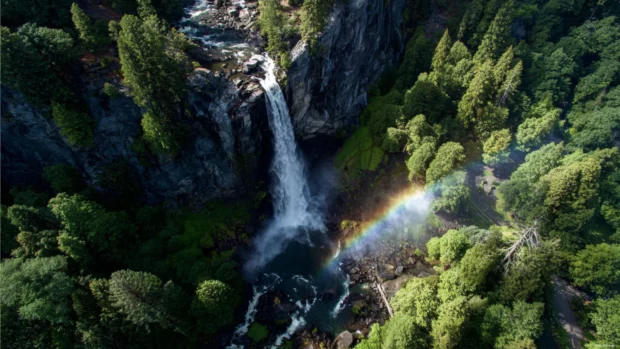 A colorful rainbow shining brightly over the Waterfall surrounded by lush green trees.