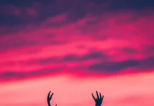A cool deer silhouette against a dreamy twilight sky.