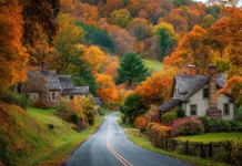 A countryside road surrounded by Beautiful Fall foliage, with cozy cottages nestled among the colorful trees.