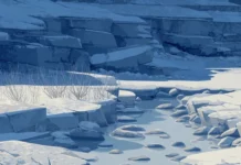 A crisp arctic fox mobile wallpaper showing a fox walking along a frozen stream lined with icy stones.