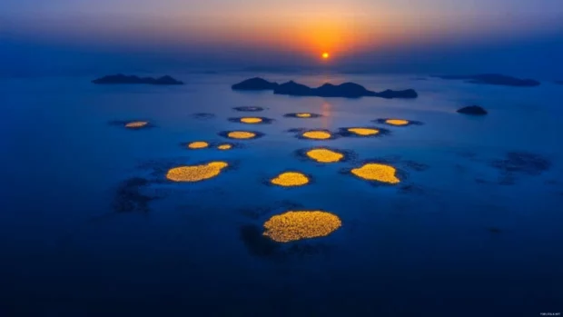 A dreamy sunrise over Japans Inland Sea where tiny islands float in glowing morning light.