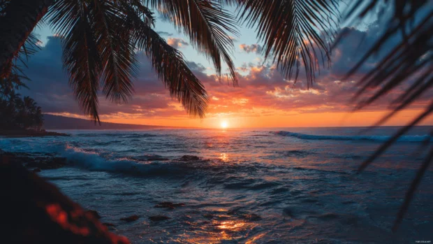 A dreamy sunset scene with palm tree silhouettes framing the horizon and waves softly lapping the shore.