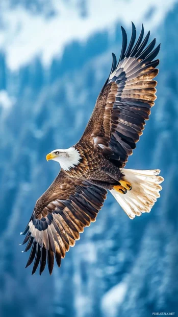 A flying eagle iPhone wallpaper capturing dynamic movement and wingspan over a clear blue sky.