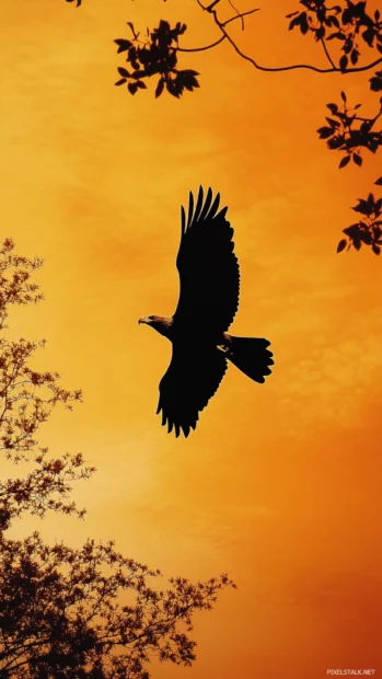 A golden hour skyline is painted with the silhouette of an Eagle in flight.