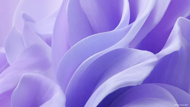 A lavender inspired iPhone background featuring flowing petals and abstract curves.