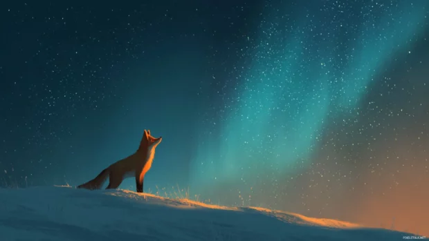 A lone Fox gazing at the northern lights from a snowy hill, stars twinkling above, magical and peaceful night scene.