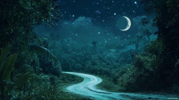 A lonely road cuts through a dense jungle where nature thrives under the light of twin moons and glittering stars.