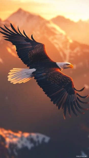 A majestic Bald Eagle hovering near mountaintop sunrise.