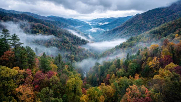 A majestic mountain landscape wrapped in layers of fall foliage, with mist rising over the colorful trees.
