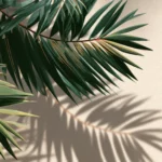 A minimal composition of Palm tree leaves gently overlapping.