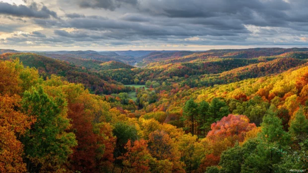 A panoramic view of Beautiful Fall hills covered in vibrant trees, layers of color stretching toward the horizon.