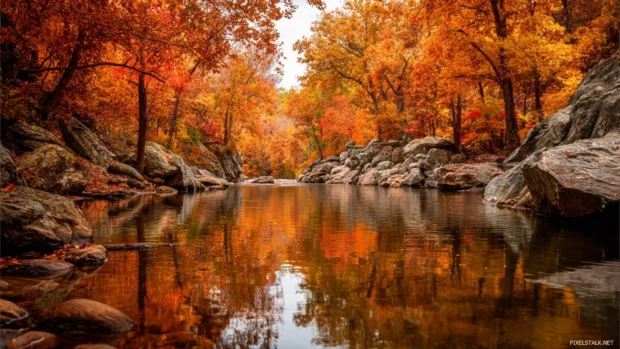 A scenic river reflecting the colors of Beautiful Fall, with red and orange trees lining the peaceful banks.
