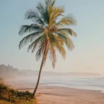 A serene beach with a lone Palm tree reaching into the soft morning light, peaceful and minimal.