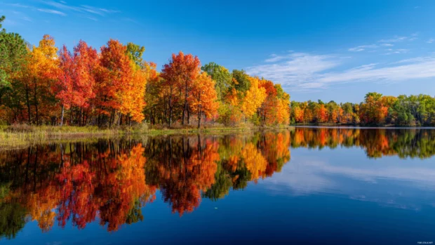 A serene lake reflecting vibrant fall trees under a crisp blue sky, showcasing the beauty of the season.