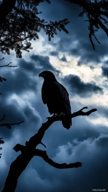A stormy sky frames the dramatic silhouette of the fearless Eagle.
