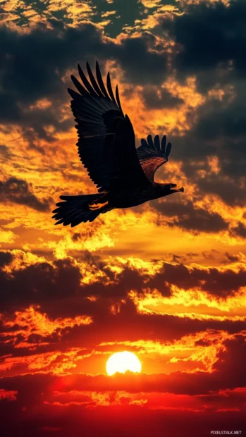 A vivid sunset becomes the backdrop for an Eagle mid flight.