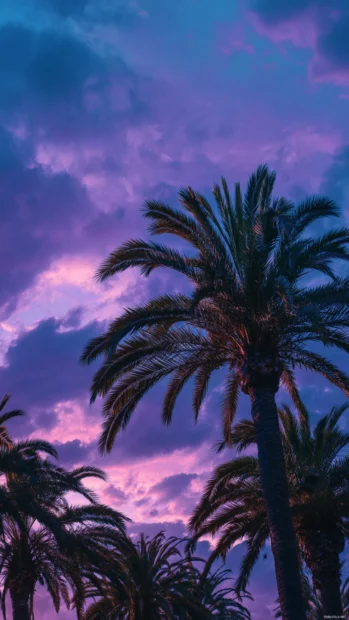 Aesthetic palm tree HD wallpaper capturing moody twilight with dusky blue palms outlined against lavender clouds.