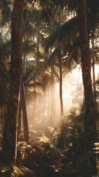Aesthetic palm tree background showcasing golden hour light filtering through palm canopy over forest floor.