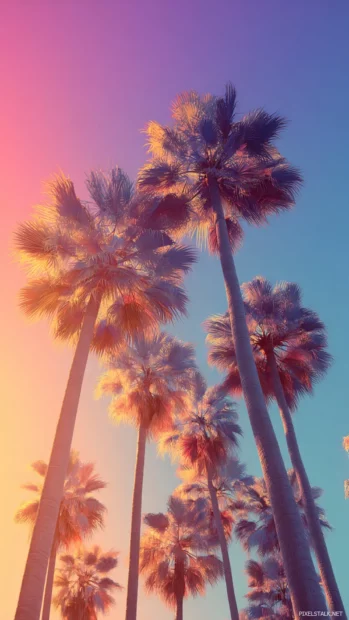 Aesthetic palm tree phone wallpaper with retro sunburst gradient behind clustered palms casting soft shadows.
