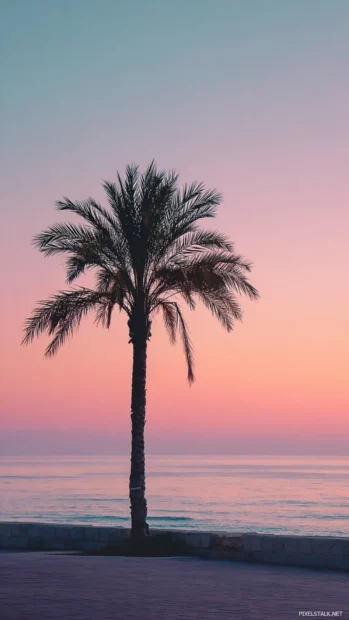 Aesthetic palm tree wallpaper featuring a lone palm silhouette against pastel sunrise sky over calm sea.