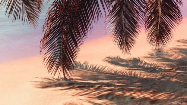 Aesthetic palm tree wallpaper hd capturing palm frond shadows on smooth sandy beach under pastel sky.