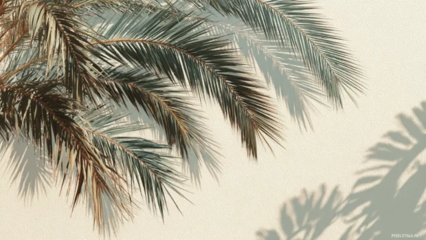 Aesthetic palm tree wallpaper showing minimal arrangement of palm fronds on pale beige backdrop for calm mood.
