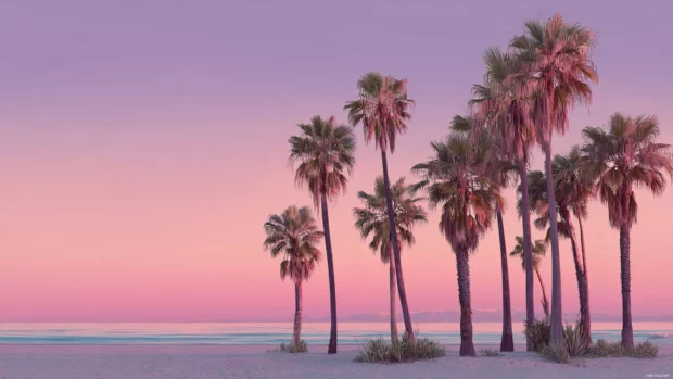 Aesthetic pink palm tree wallpaper with gentle pink gradient sky behind tall palms on sandy shore.