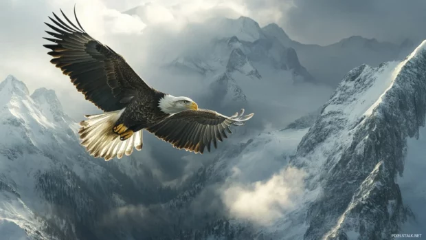 American eagle flying across the face of a massive mountain range.