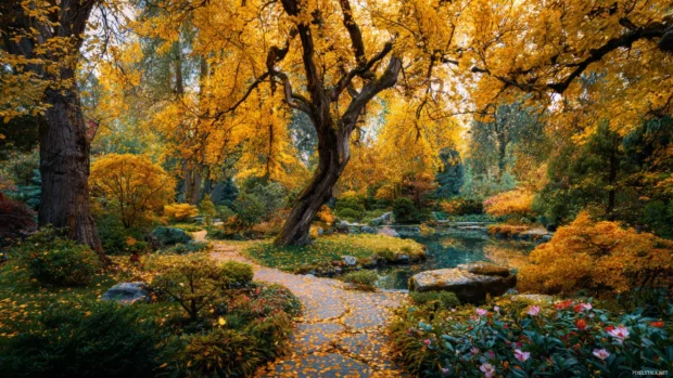 An enchanting garden surrounded by fall trees, with golden leaves drifting through the air.