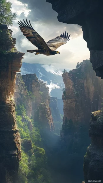 An epic scene of an eagle flying over canyon cliffs, a true eagle wallpaper for desktop.