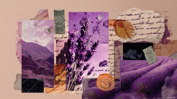 Artistic collage of lavender elements on grainy paper with aesthetic handwriting and stickers.