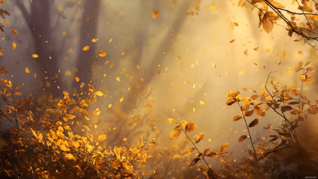 Autumn MacBook wallpaper showcasing a misty woodland glade with amber leaves drifting in soft golden light.