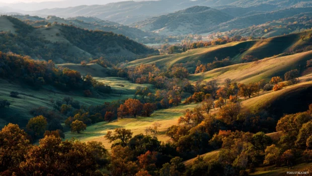 Autumn colors desktop wallpaper capturing rolling hills blanketed in fall foliage under soft golden hour light.