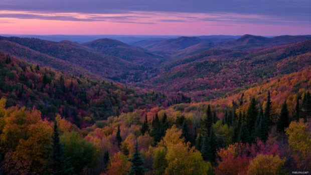 Autumn tree desktop wallpaper depicting sweeping vista of forested hills draped in autumn color at twilight.