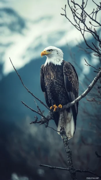 Bald eagle iPhone wallpaper featuring the eagle perched on a tree branch with dramatic mountain scenery behind.