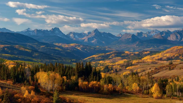 Beautiful Fall captured in a mountain valley, golden forests meeting the distant peaks under a clear sky.