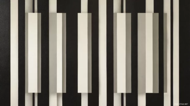 Black and white geometric stripes wallpaper featuring wide vertical stripes offset by narrow linear accents.