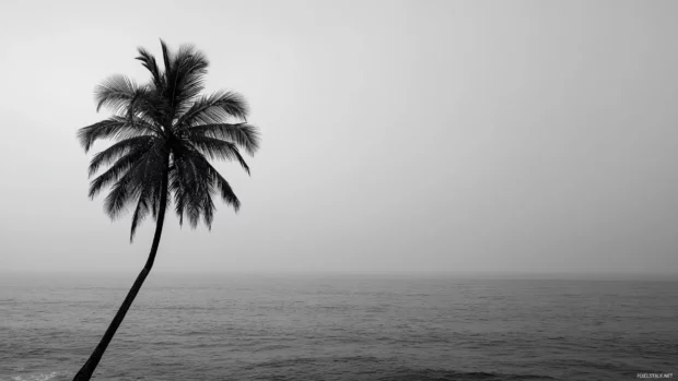 Black and white palm tree wallpaper showing stark palm silhouette against smooth grey sky and calm sea.