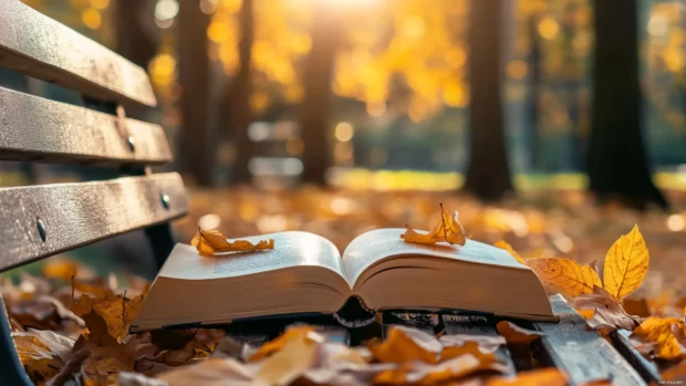 Book surrounded by autumn leaves on a cozy park bench.