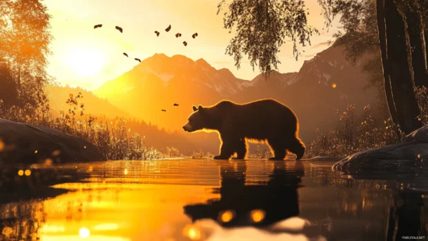 Brown bear strolling beside a reflective lake during sunset glow.