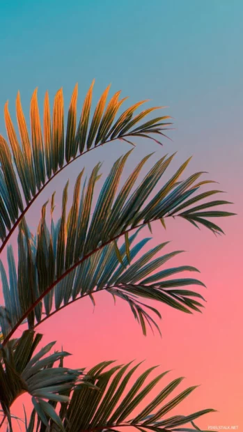 Close up of aesthetic palm tree leaves layered over a smooth pink to blue gradient sky.